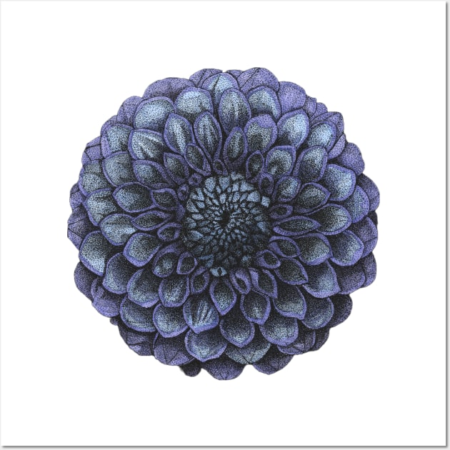 Blue and Purple Dahlia Flower Wall Art by Broken Line Design